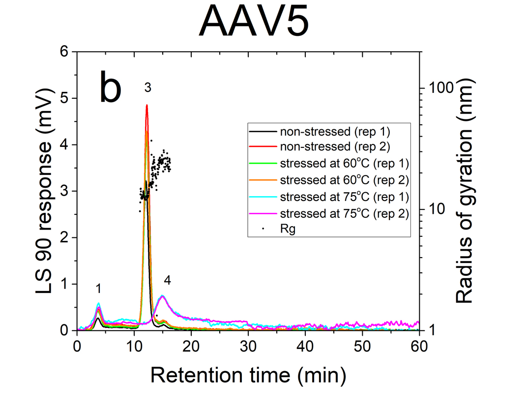 Figure 2: MALS 90°C signal trace and radius of gyration (Rg) profi les of two serotype AAV samples at room temperature and stressed at 60°C and 75°C, a) AAV1, b) AAV5, inserted numbers represent different components, 1 and 2: fragments, 3: monomer, 4: oligomers, 5: larger aggregates. ID0066 AAV5 Rg stressed