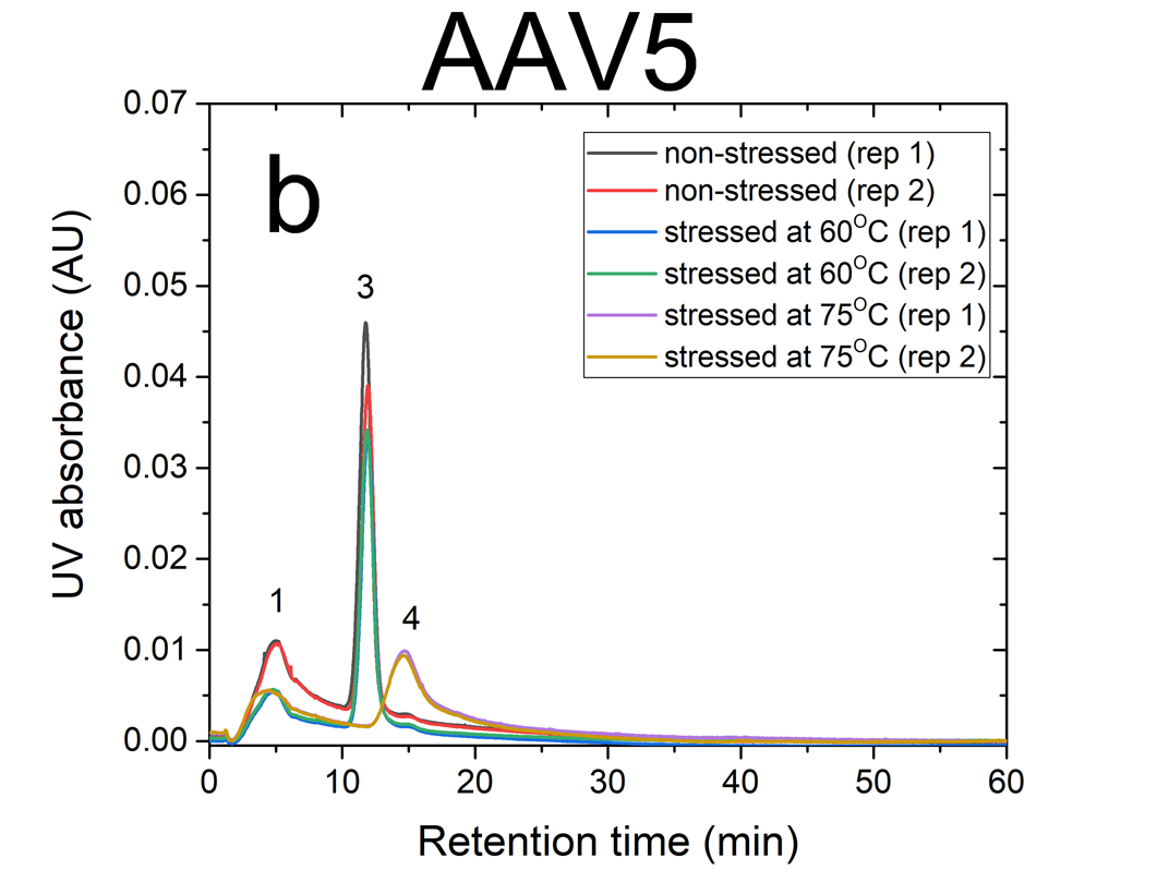 Figure 1: UV absorbance at λ = 219 nm versus retention time of two serotype AAV samples at room temperature and stressed at 60°C and 75°C, a) AAV1; b) AAV5, inserted numbers represent different components, 1 and 2: fragments, 3: monomer, 4: oligomers, 5: larger aggregates. ID0066 Fig1 AAV5 stressed