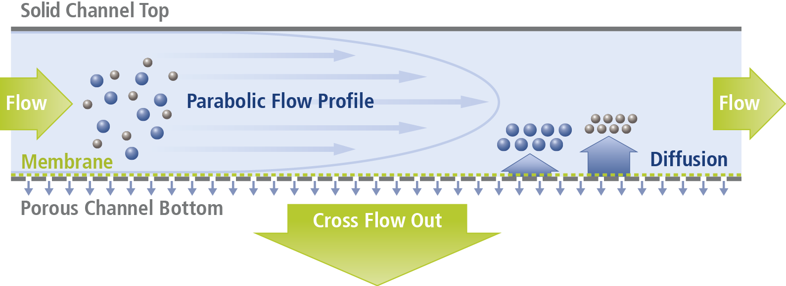 Figure 1: Schematic of the AF4 separation principle. AF4 Principle with SolidChannelTop 2014