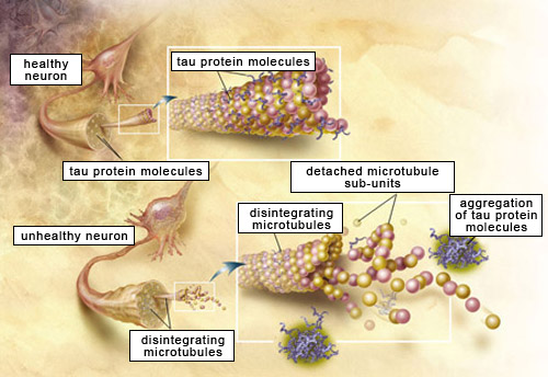 Source: National Institute of Health. ID0052 Fig0